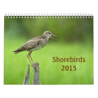 Calendrier de 2015 charadriidés