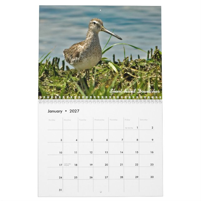 Calendrier de 2015 charadriidés (Jan 2027)