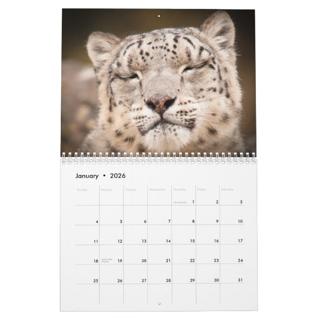 Calendrier de 2015 grands chats par la photo de (Jan 2026)