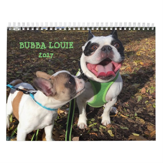 CALENDRIER DE 2017 LOUIE DE BUBBA (Protection)