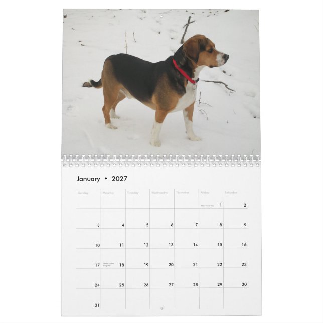 Calendrier de beagle de 12 mois - quel chien ! (Jan 2027)