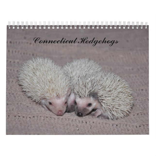 Calendrier de bébés de hérisson (Protection)