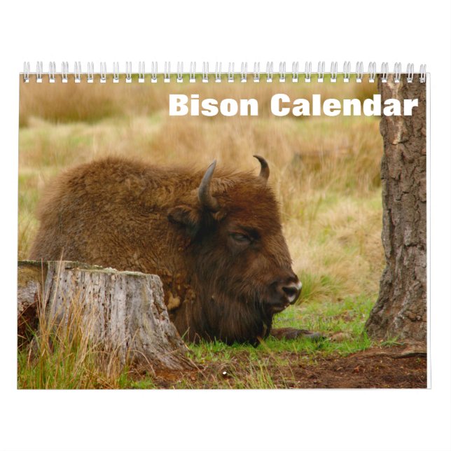 Calendrier de Bison Buffalo 2025 (Protection)