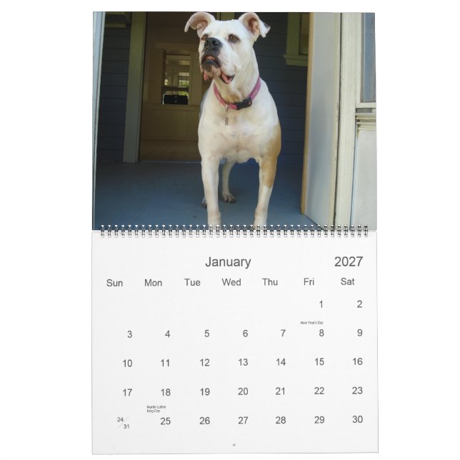 Calendrier de bouledogue de 2010 Américains (Jan 2027)