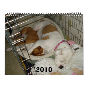 Calendrier de bouledogue de 2010 Américains