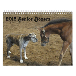 Calendrier de boxeur de 2015 aînés