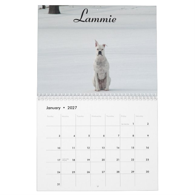 Calendrier de boxeur de 2015 blancs (Jan 2027)