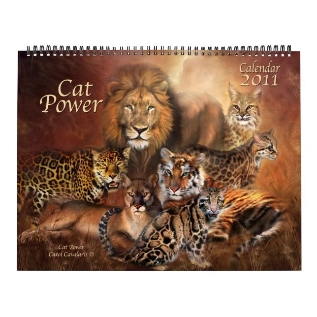 Calendrier de Cat Power 2011 (Protection)
