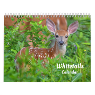 Calendrier de cerfs de Virginie