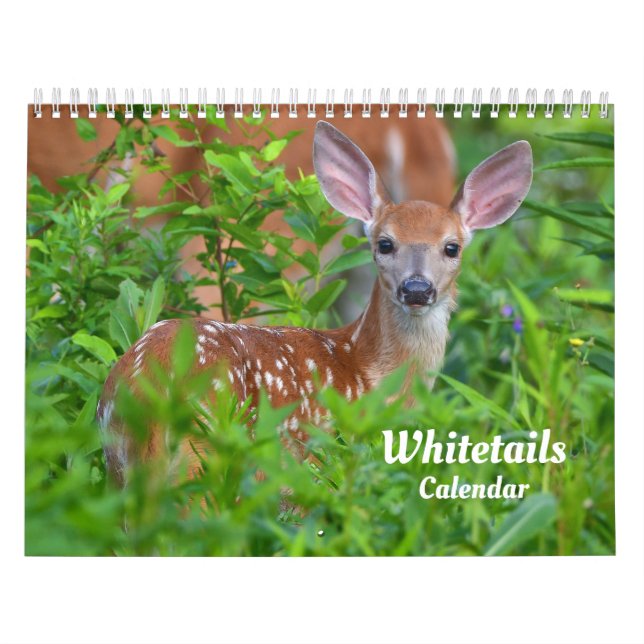 Calendrier de cerfs de Virginie (Protection)