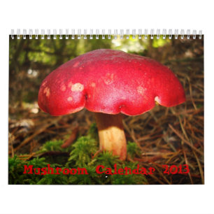 Calendrier de champignon