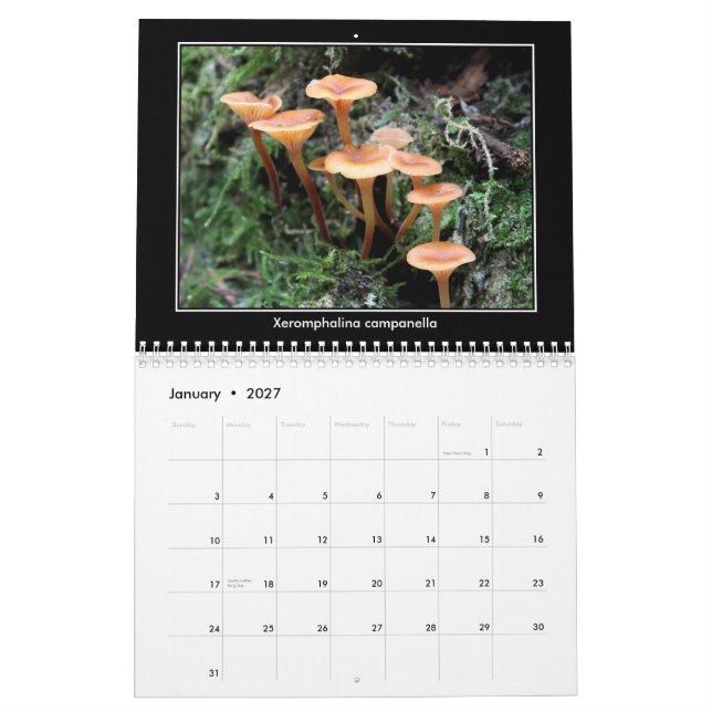 Calendrier de champignon (Jan 2027)