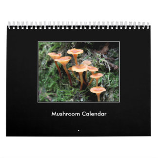 Calendrier de champignon