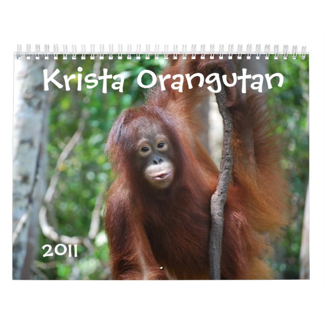 Calendrier de charité de faune d'orang-outan de (Protection)