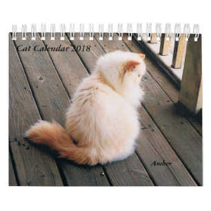 Calendrier de chat