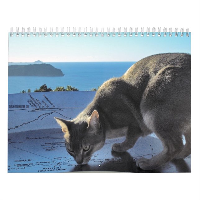 Calendrier de chat (Protection)