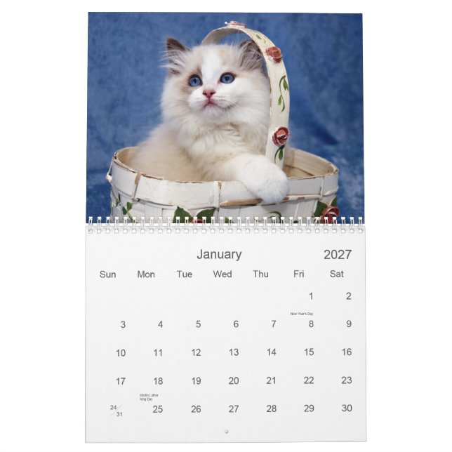 Calendrier de chat de Ragdoll (Jan 2027)