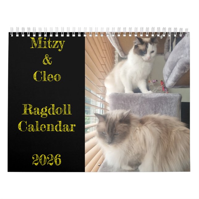 Calendrier de chat Ragdoll (Protection)