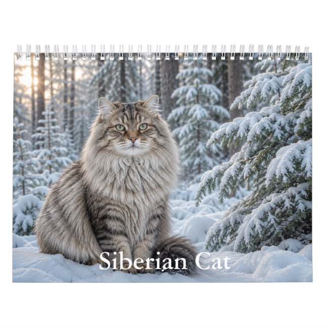 Calendrier de chat sibérien  (Protection)