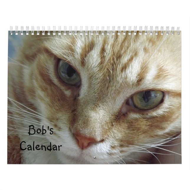 Calendrier de chat Tabby Orange avec Bob (Protection)