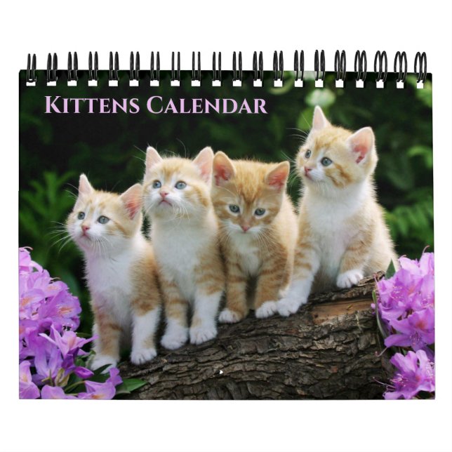 Calendrier de chatons de petite taille (Protection)