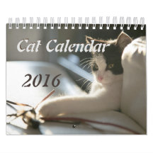 Calendrier de chats