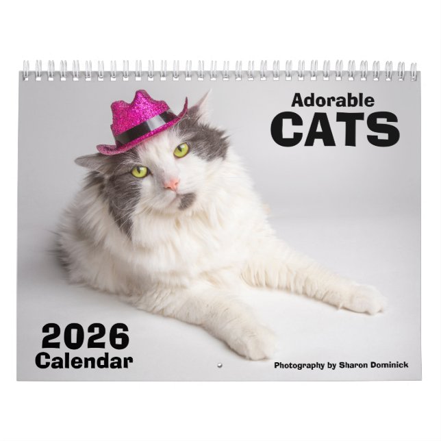Calendrier de chats adorables 2026 Photographie (Protection)