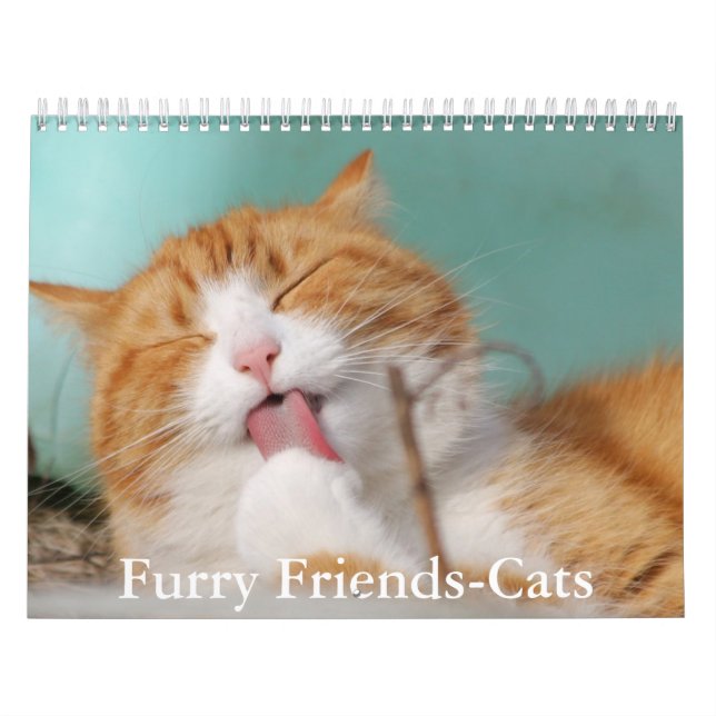 Calendrier de chats amis mignons et poilus (Protection)