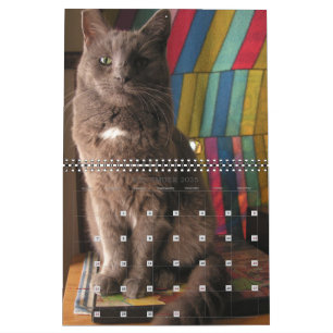 Calendrier de chats Mordi, Basil & Friends 2025