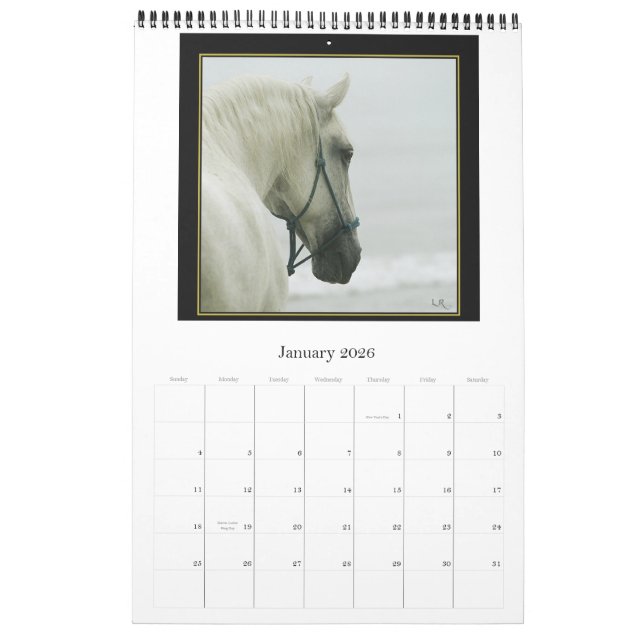 Calendrier de cheval - andalou, Lipizzan frison (Jan 2026)