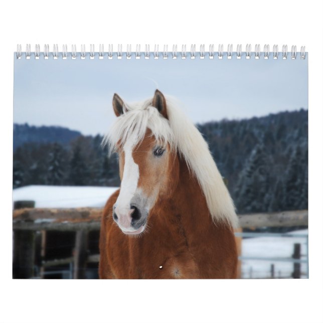 Calendrier de chevaux (Protection)