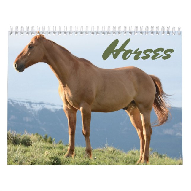 Calendrier de chevaux (Protection)