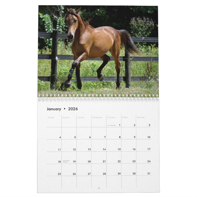 Calendrier de chevaux et de chiens 2014 (Jan 2026)