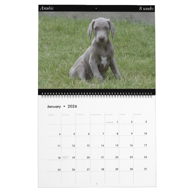 Calendrier de chien (Jan 2026)