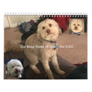 Calendrier de chien