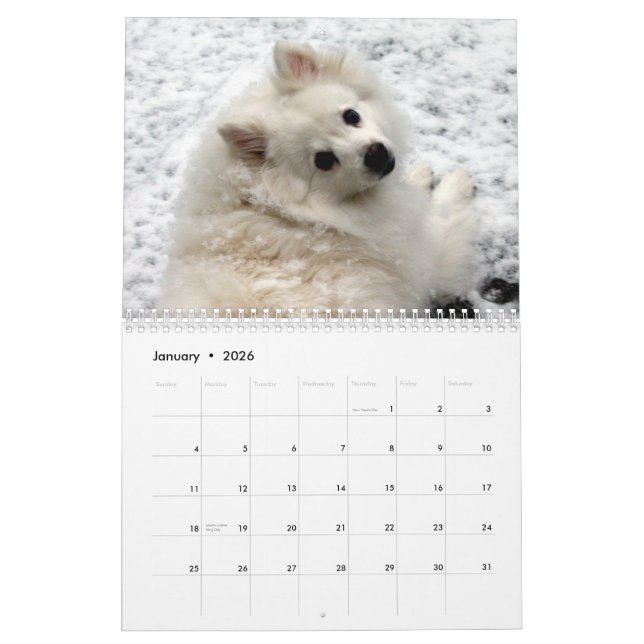 Calendrier de chien (Jan 2026)