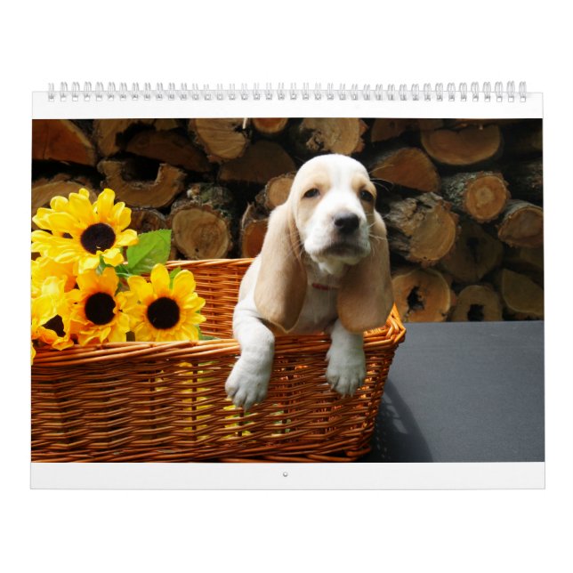 Calendrier de chien de basset (Protection)