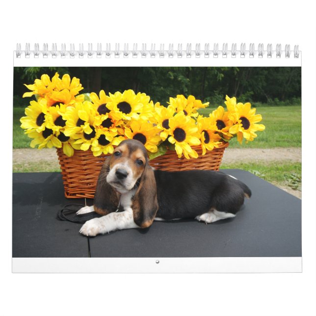 Calendrier de chien de basset (Protection)