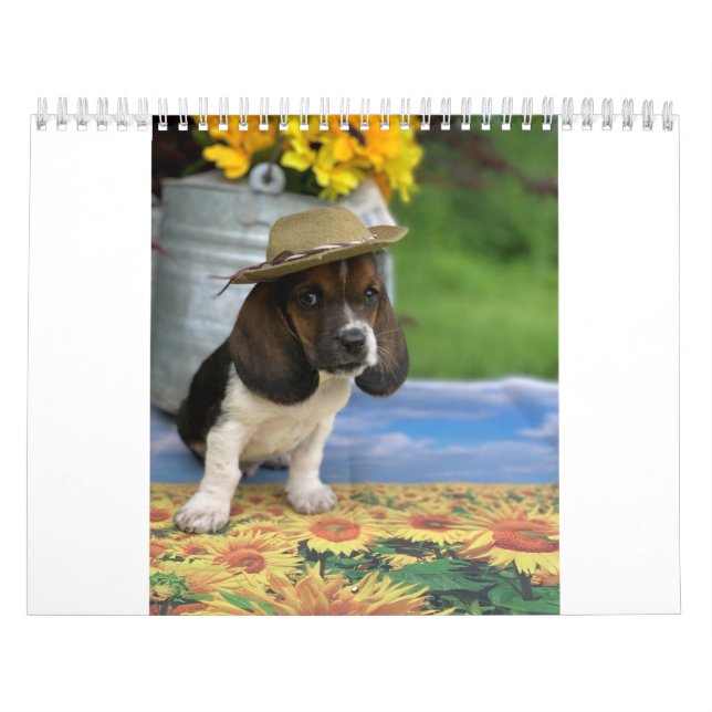 Calendrier de chien de basset comportant E (Protection)