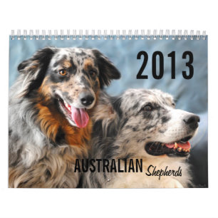 Calendrier de chien de berger de 2013 Australiens
