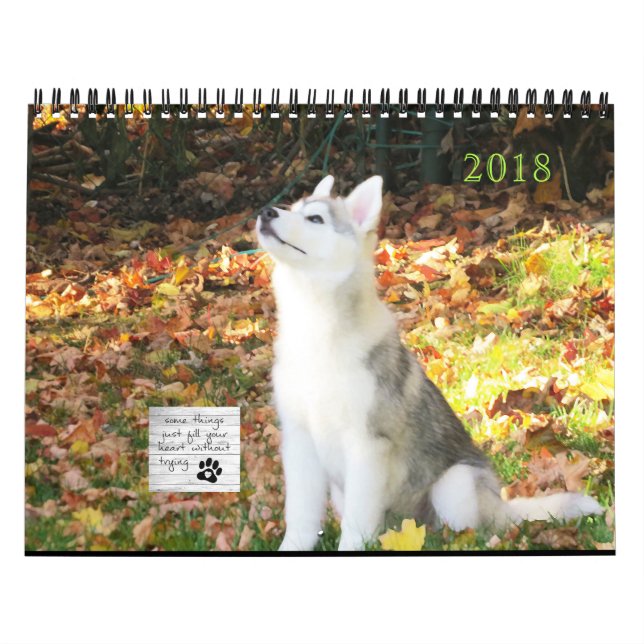 Calendrier de chien de traîneau sibérien (Protection)