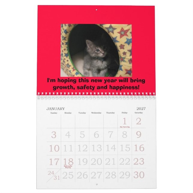 Calendrier de chien et de chat (Jan 2027)