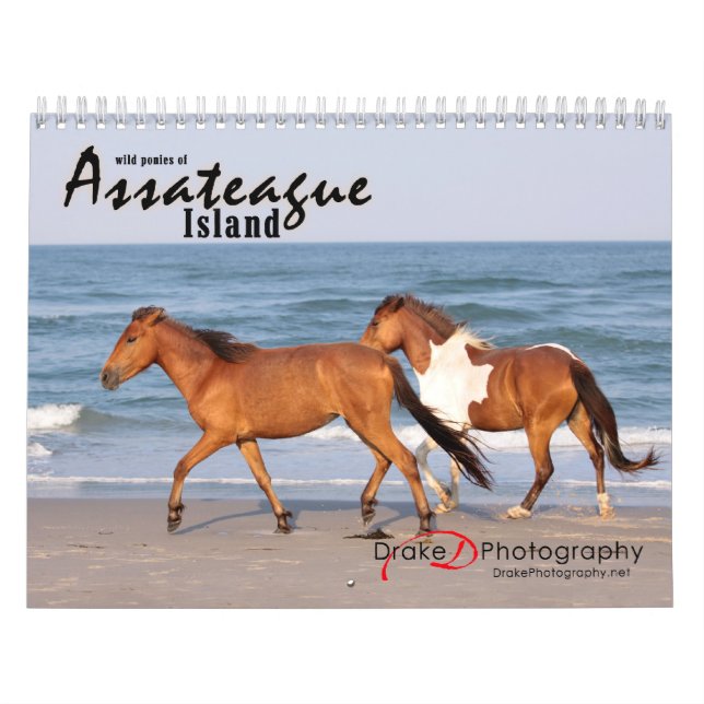 Calendrier de Chincoteague (Protection)