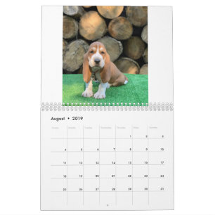 Calendrier de chiot de chien de basset