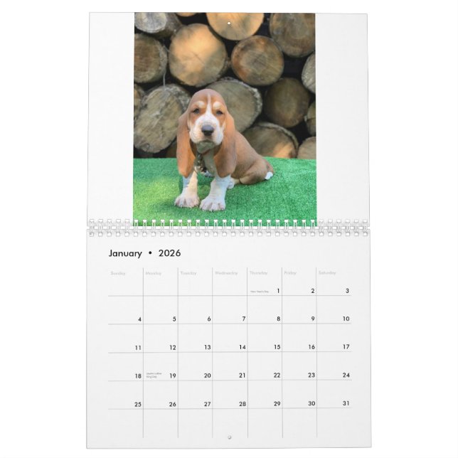 Calendrier de chiot de chien de basset (Jan 2026)