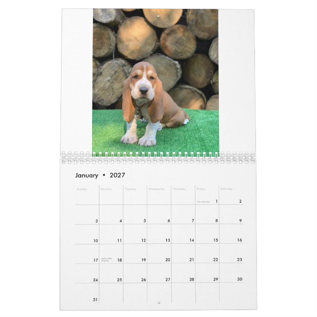 Calendrier de chiot de chien de basset (Jan 2027)