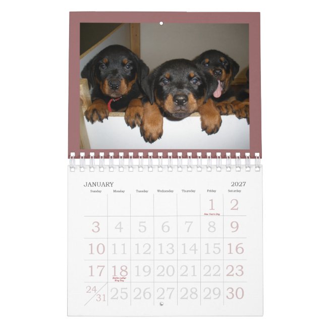 Calendrier de chiot de rottweiler (Jan 2027)