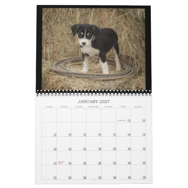 Calendrier de chiots de ferme (Jan 2027)