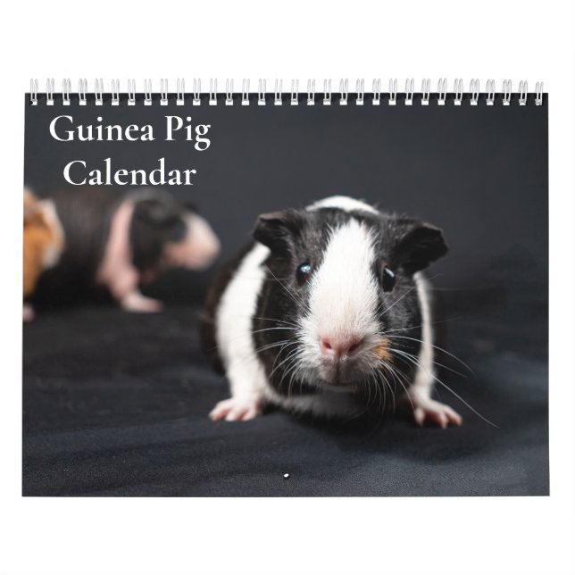 Calendrier de cochons d'Inde 2027 (Protection)