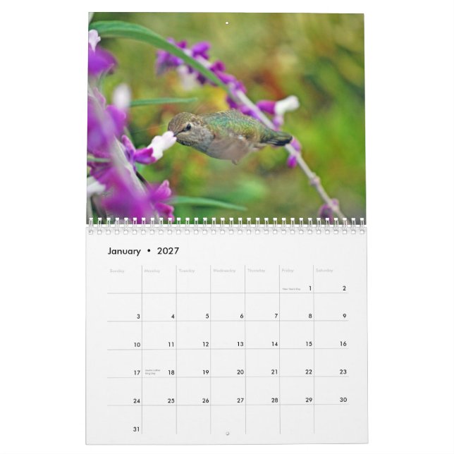 Calendrier de colibri de jardin (Jan 2027)